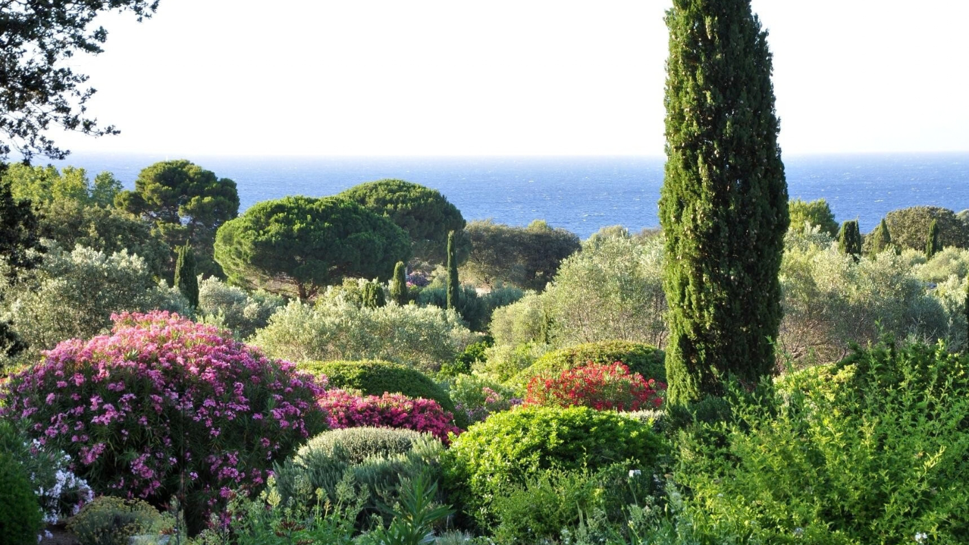 Kleurrijke bloemen, cypressen en mediterrane vegetatie in Parc de Saleccia met uitzicht op zee op Corsica