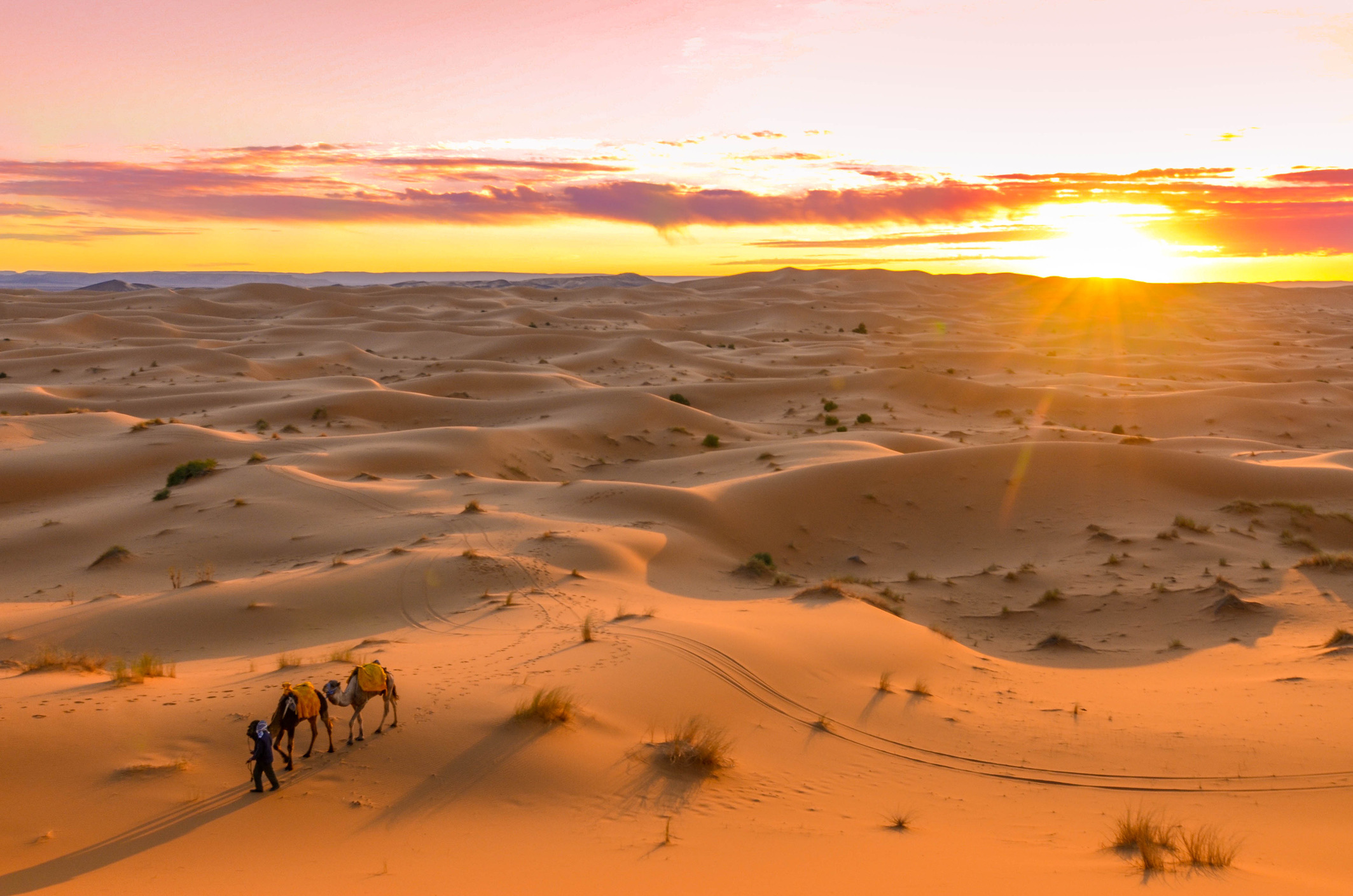 Met een oppervlakte van ruim negen miljoen vierkante kilometer is de Sahara veruit de grootste warme woestijn ter wereld.