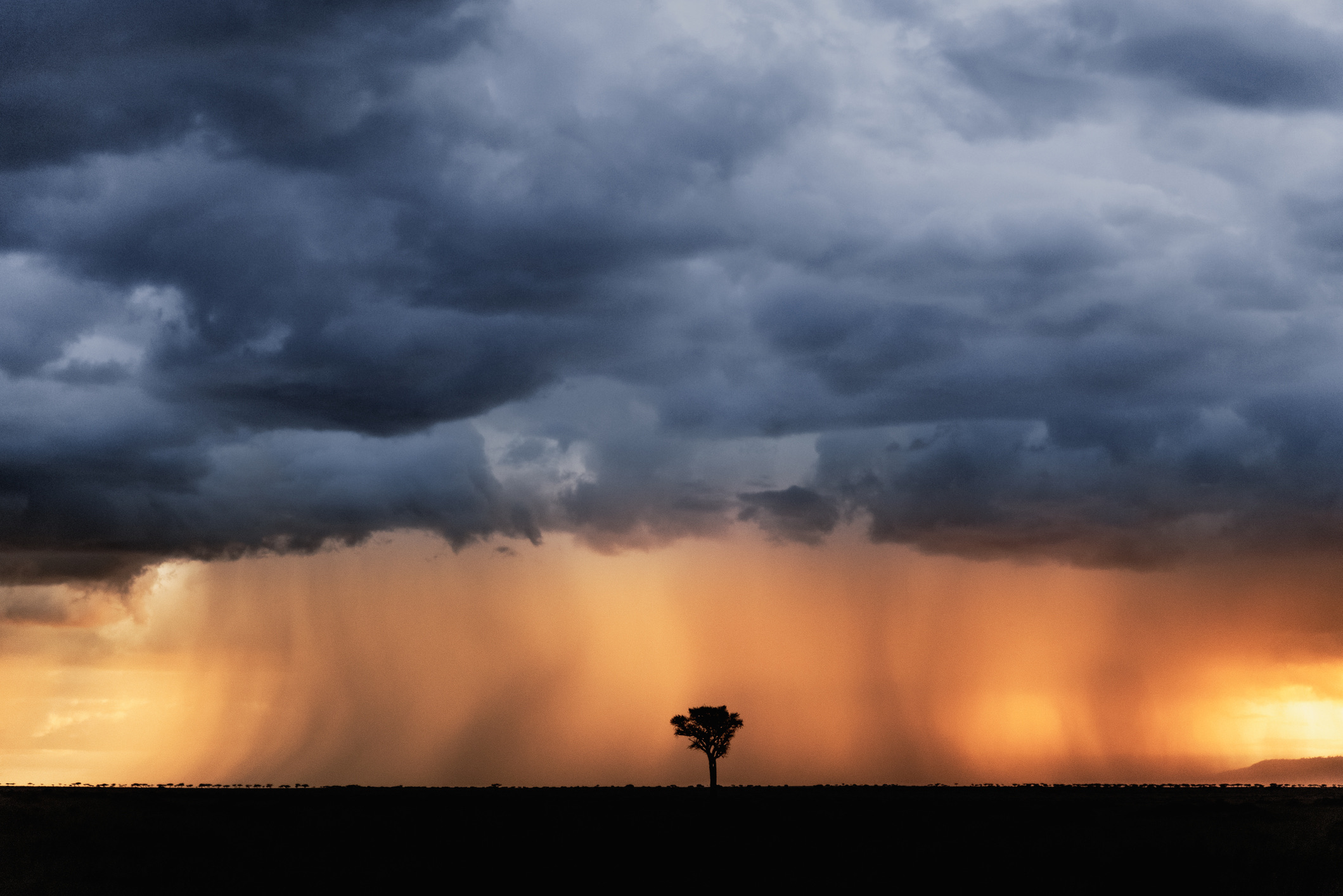 Voor Kenia en Tanzania kent El Niño twee gezichten. Dit gebied staat bekend om de zogeheten 'korte regens' tussen oktober en december.