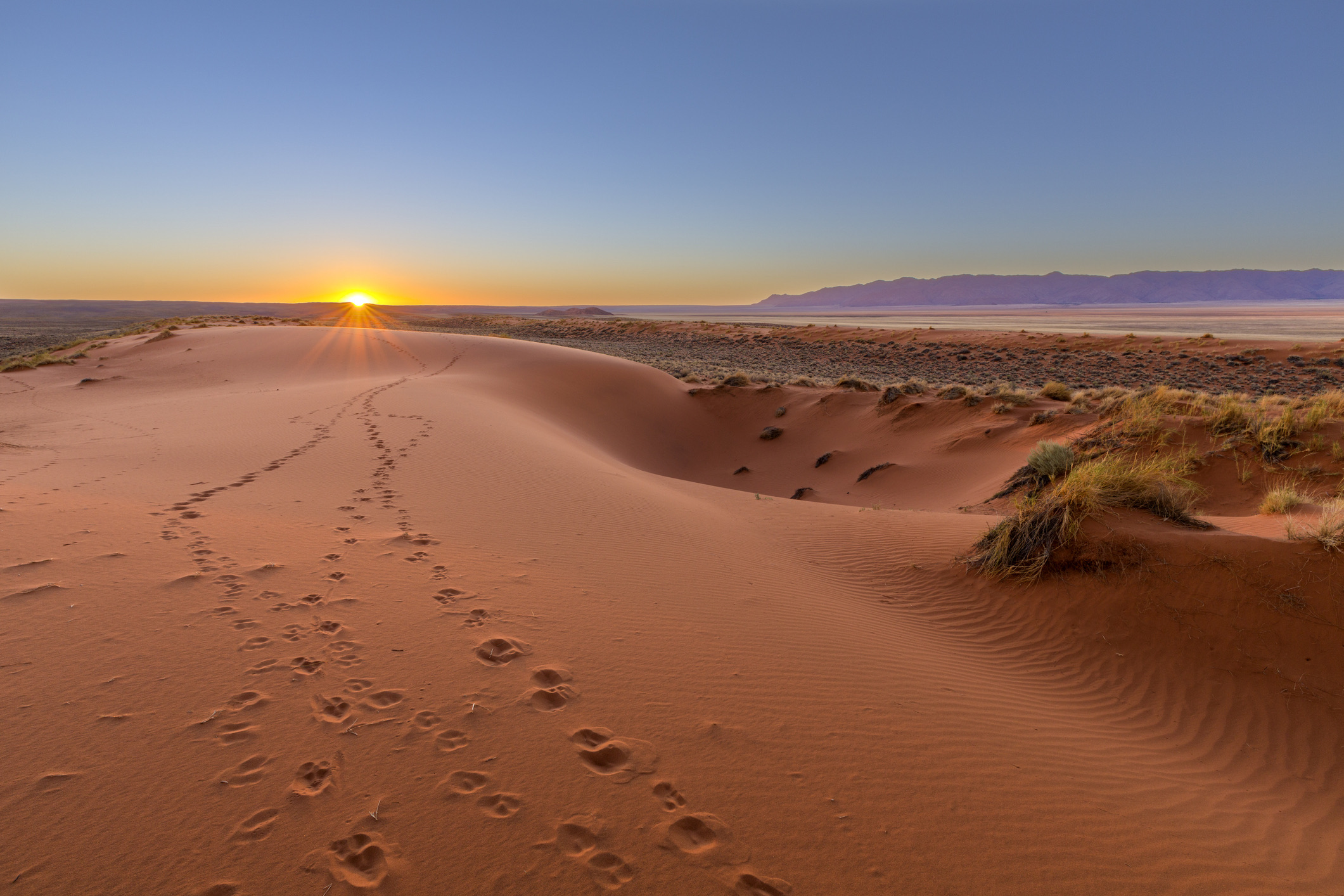 Zonsondergang in de Kalahari, Namibië