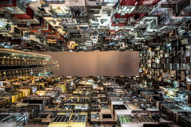 Urban Jungle of Hong Kong