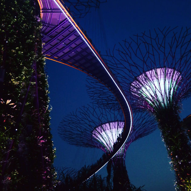 Avatar in Singapore.