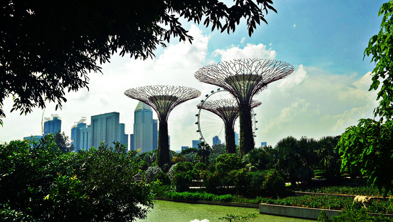 Gardens by the Bay; uitzicht op supertrees