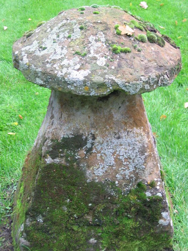 stenen paddenstoel