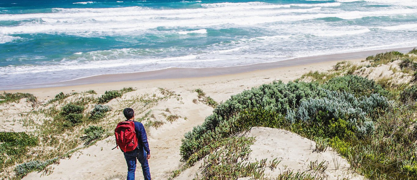 Bass Coast: Hét alternatief voor de Great Ocean Road image
