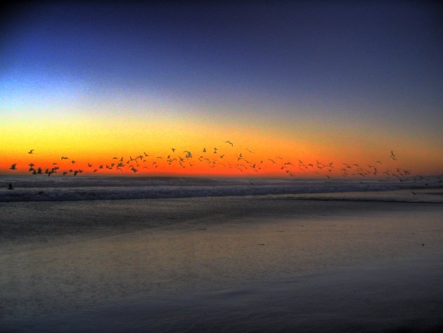 Zonsondergang met vogels