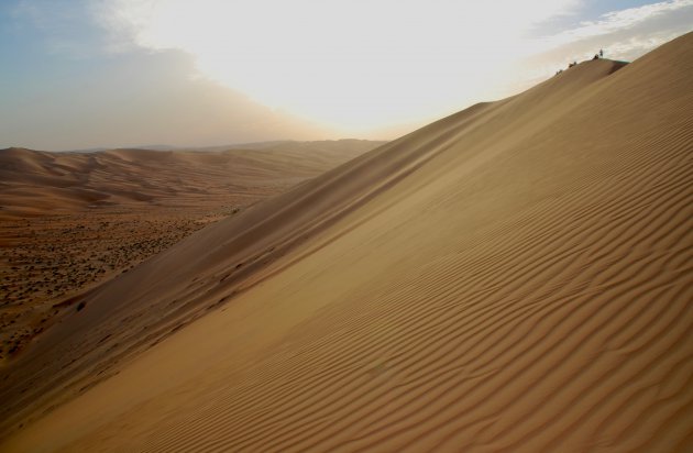 De woestijn van Abu Dhabi