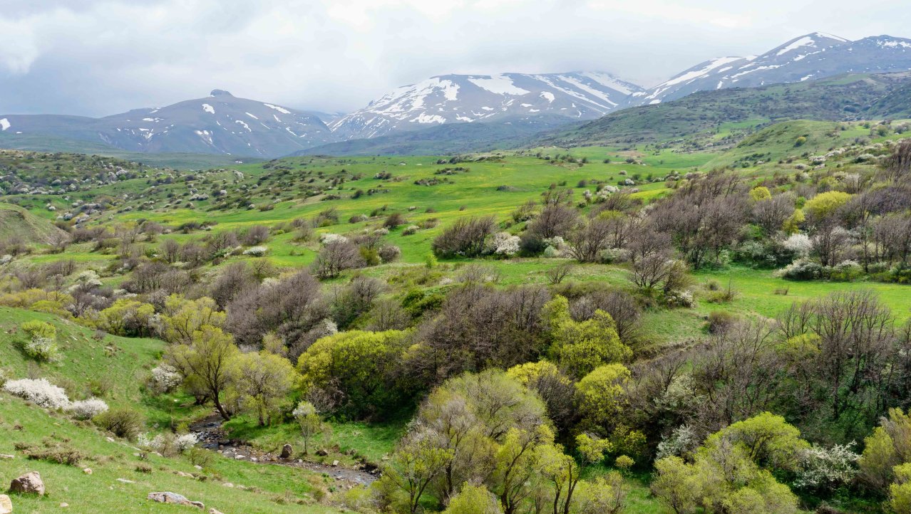 Armeense berglandschap