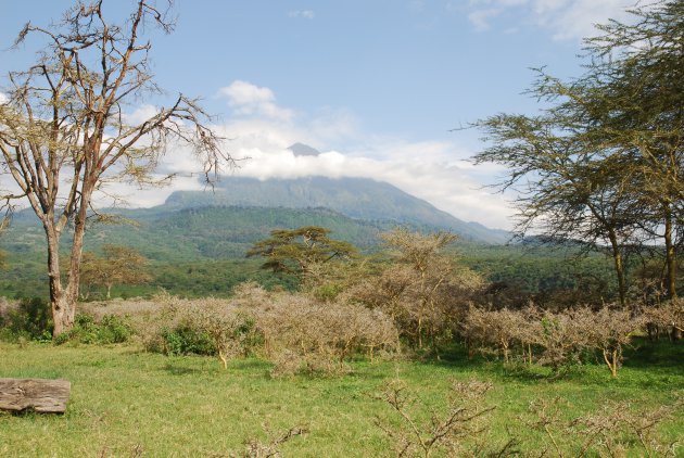 Vulkaan in Arusha National Park