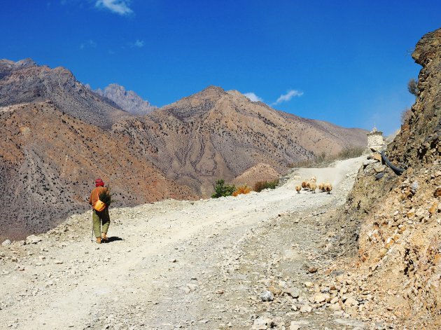 On the 'road'  in Mustang