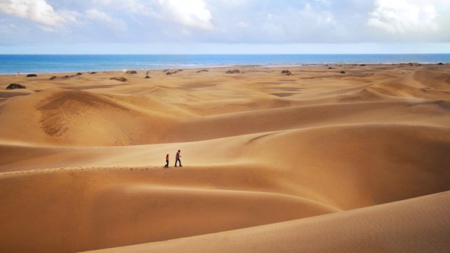 Ervaar het woestijngevoel in de duinen