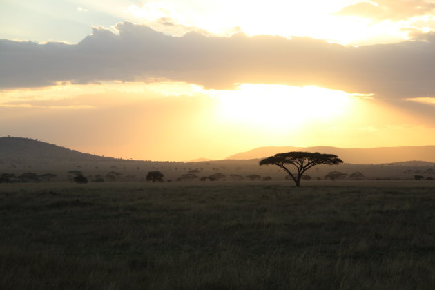 Sunset Serengeti