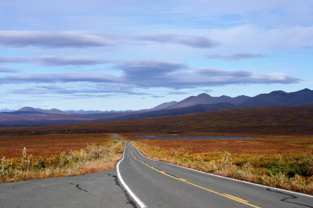 Denali Highway in herfstkleuren