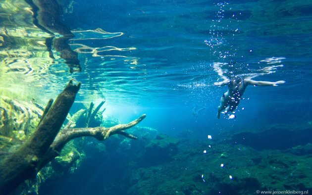 Snorkelen in een cenote