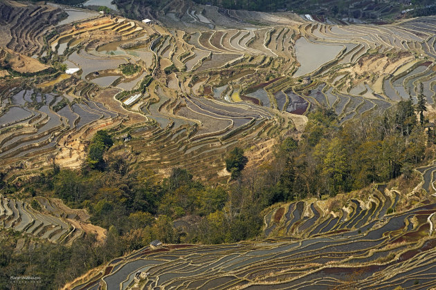 De rijstterrassen van Yunnan