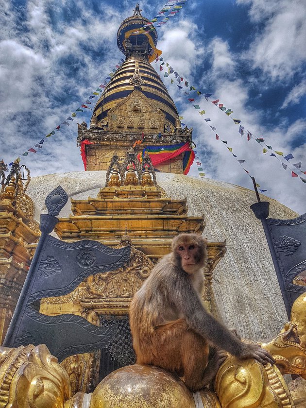 Monkey temple in Kathmandu