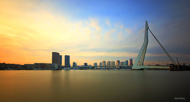 Metropool Rotterdam
