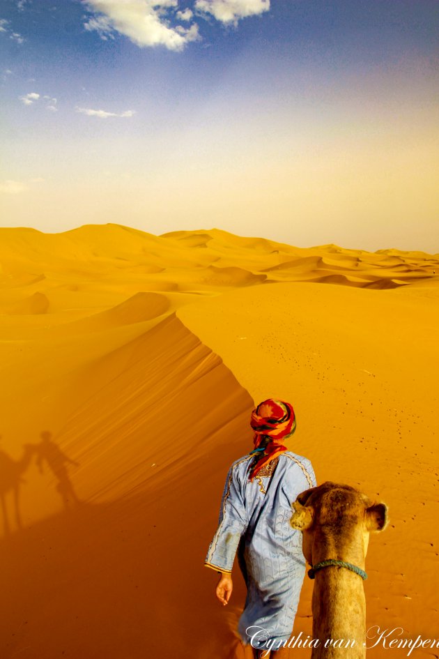 Een nacht in de Sahara