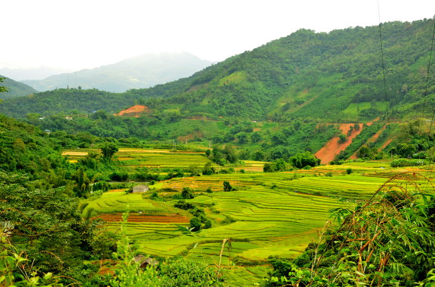Rijstterrassen in Ha Giang.