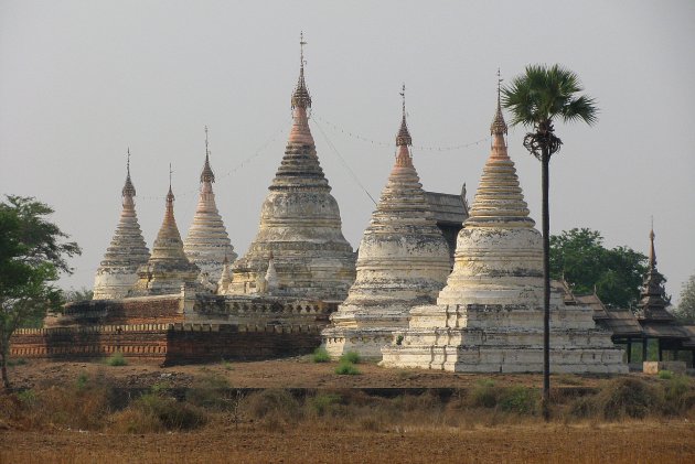 Stad van stupa's