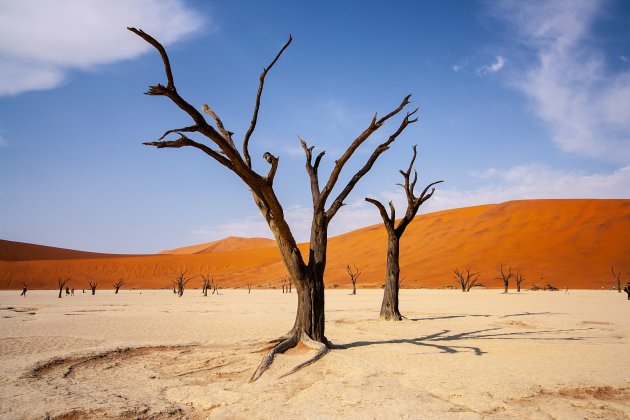 Sossusvlei in Namibië