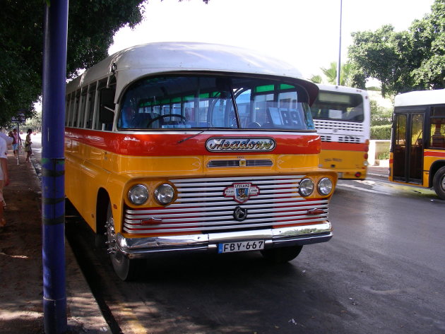 bussen op malta