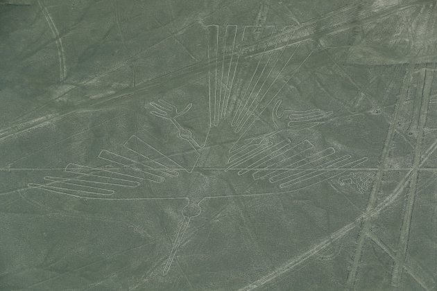 Nazca lijnen : Condor
