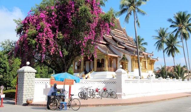 Kleurrijk Luang Prabang