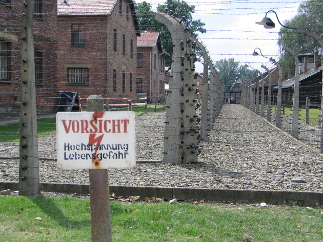 Gevangen in Auschwitz