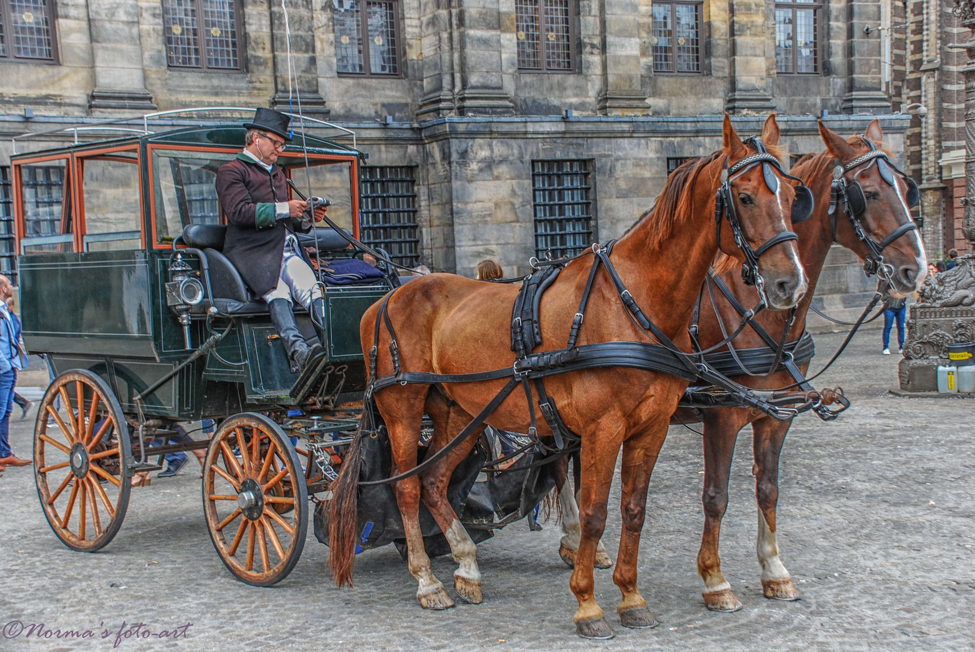 Score Roestig tempel Met paard en wagen door Amsterdam in Amsterdam | Columbus Travel