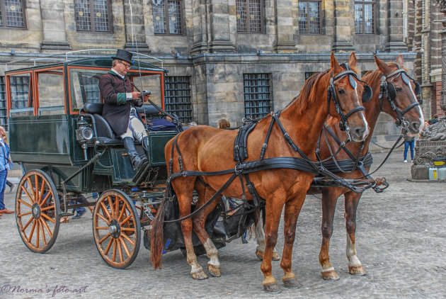 Met paard en wagen door Amsterdam