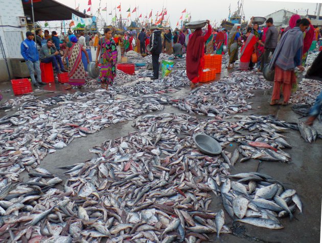 Vismarkt van Vanakbara