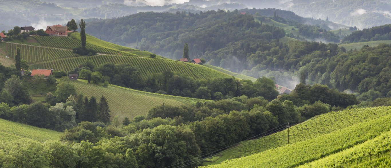 Dit wil je: het Toscane van Oostenrijk op een Vespa image