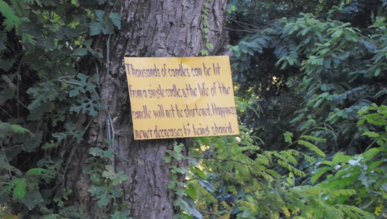 Boeddhistische wijsheid groeit in Lumbini in bomen