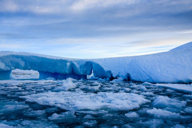Avondsafari op Antarctica