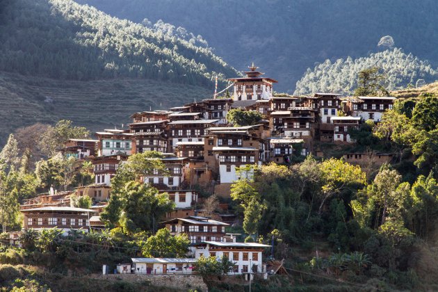 Bijzonder Bhutan