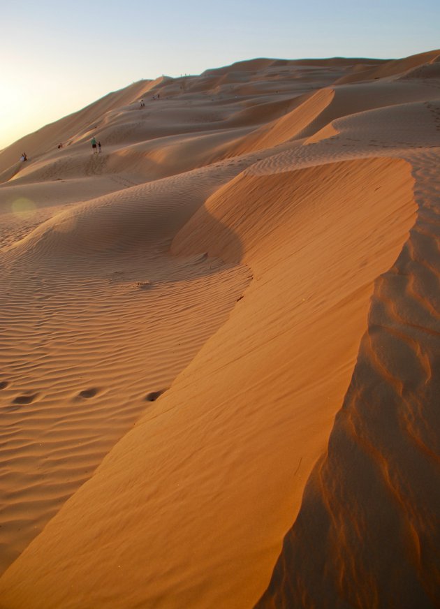 Zandduinen in de woestijn