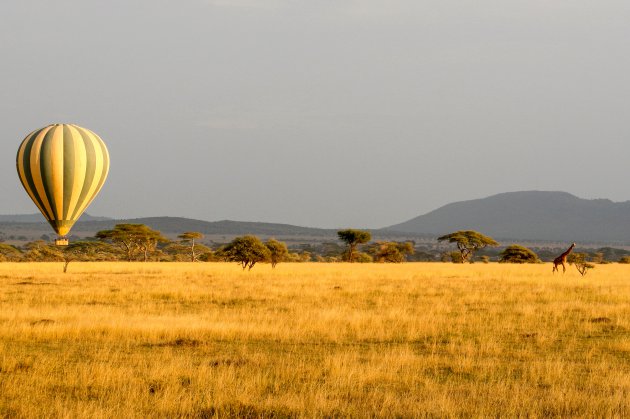 De Serengeti per luchtballon