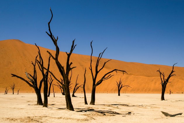 Een surrealistisch landschap in Namibië