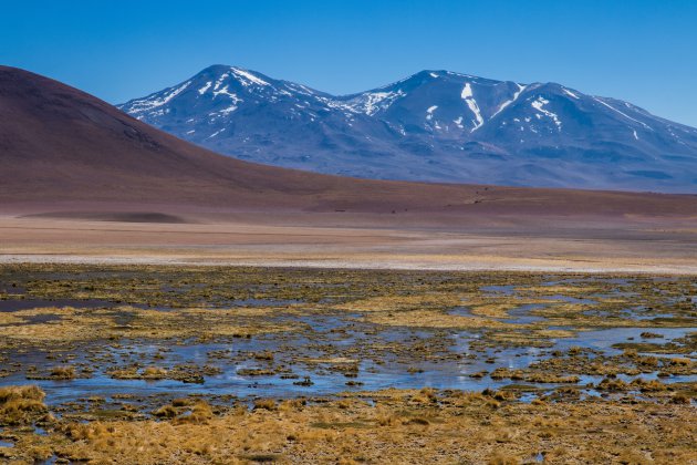 Eenvoudige schoonheid van Atacama