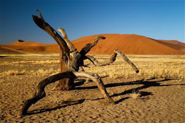 Surrealisme in Namibië