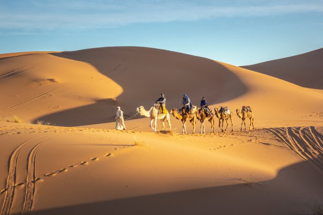 Het ultieme duurzame reizen door de woestijn.