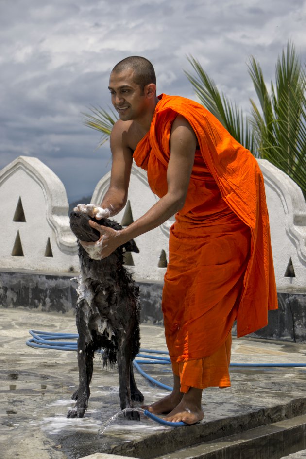Hond krijgt wasbeurt van monnik