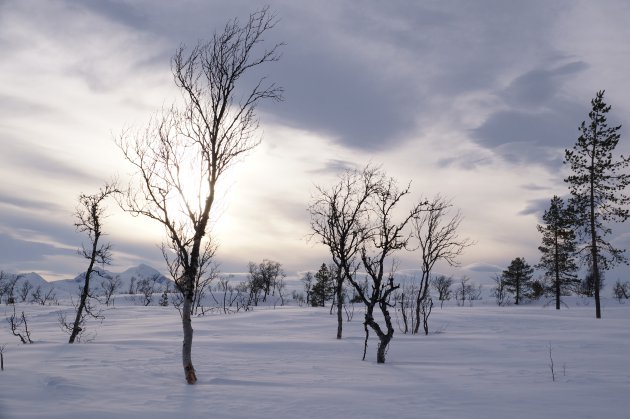 Winters licht in Noorwegen