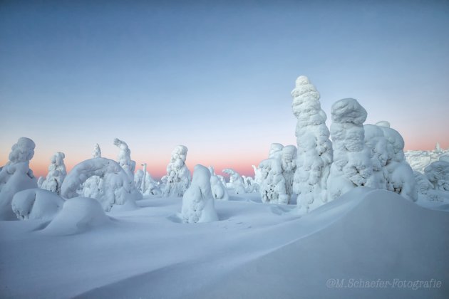 Ochtenlicht Lapland