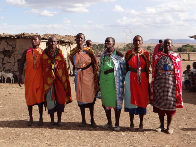 Masai Mara stam