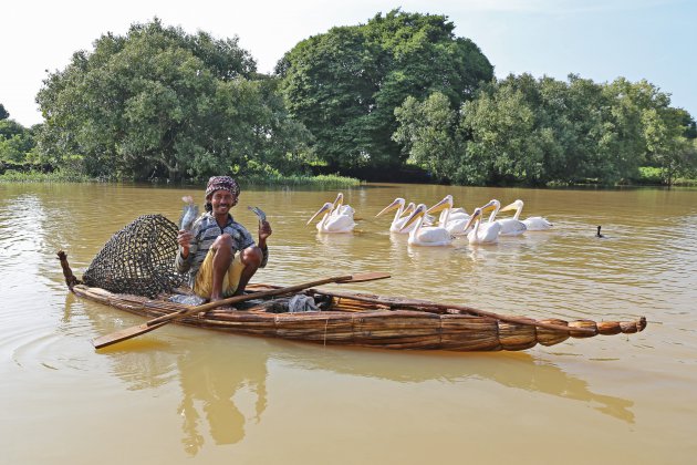 Visser in zijn papyrus boot op het Tana meer in Ethiopië