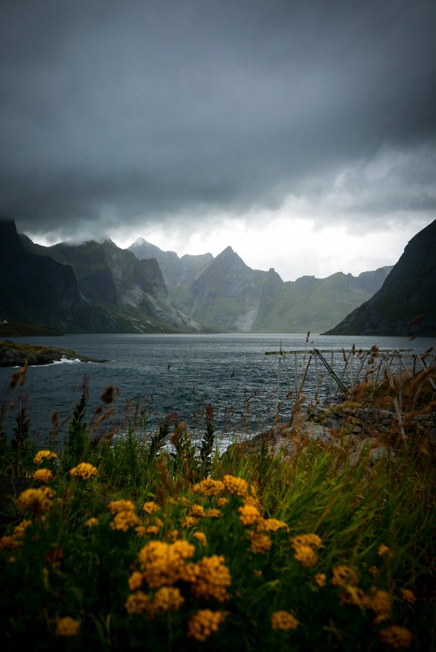 The Lofoten have the looks