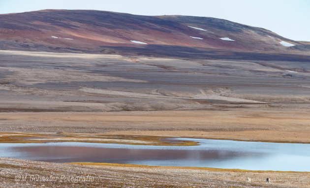 Kleurrijk landschap op Spitsbergen