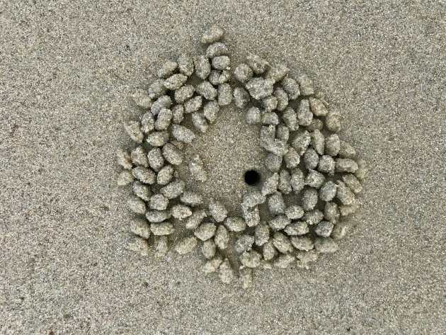Mysterieuze zandballetjes op het strand